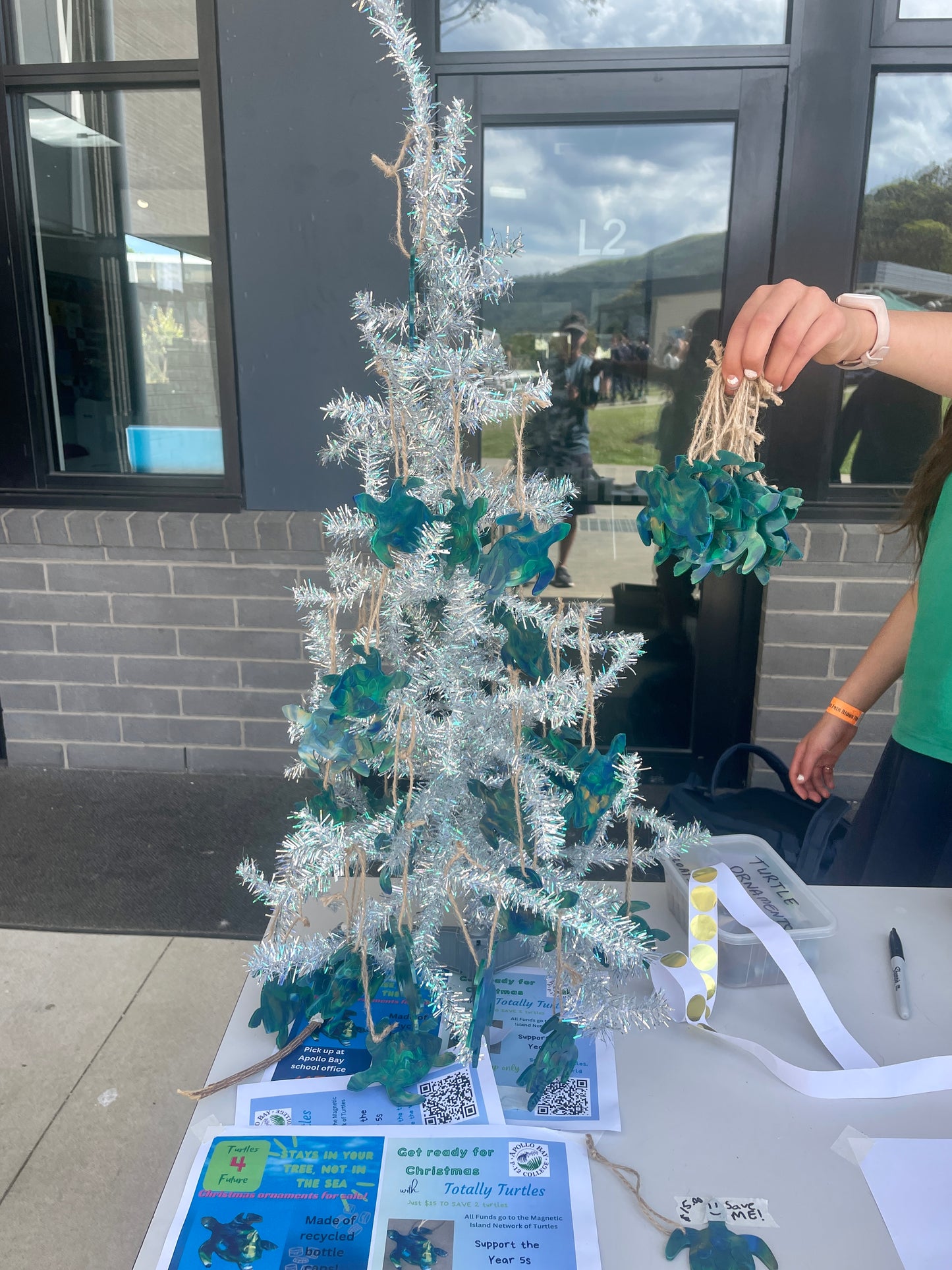 Apollo Bay Year 6 Sea Turtle Ornament