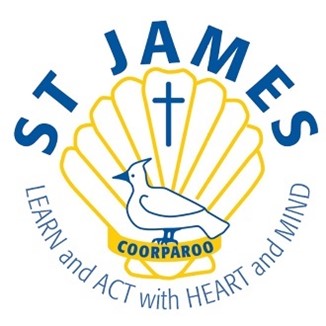 St James Sea Turtle Ornament